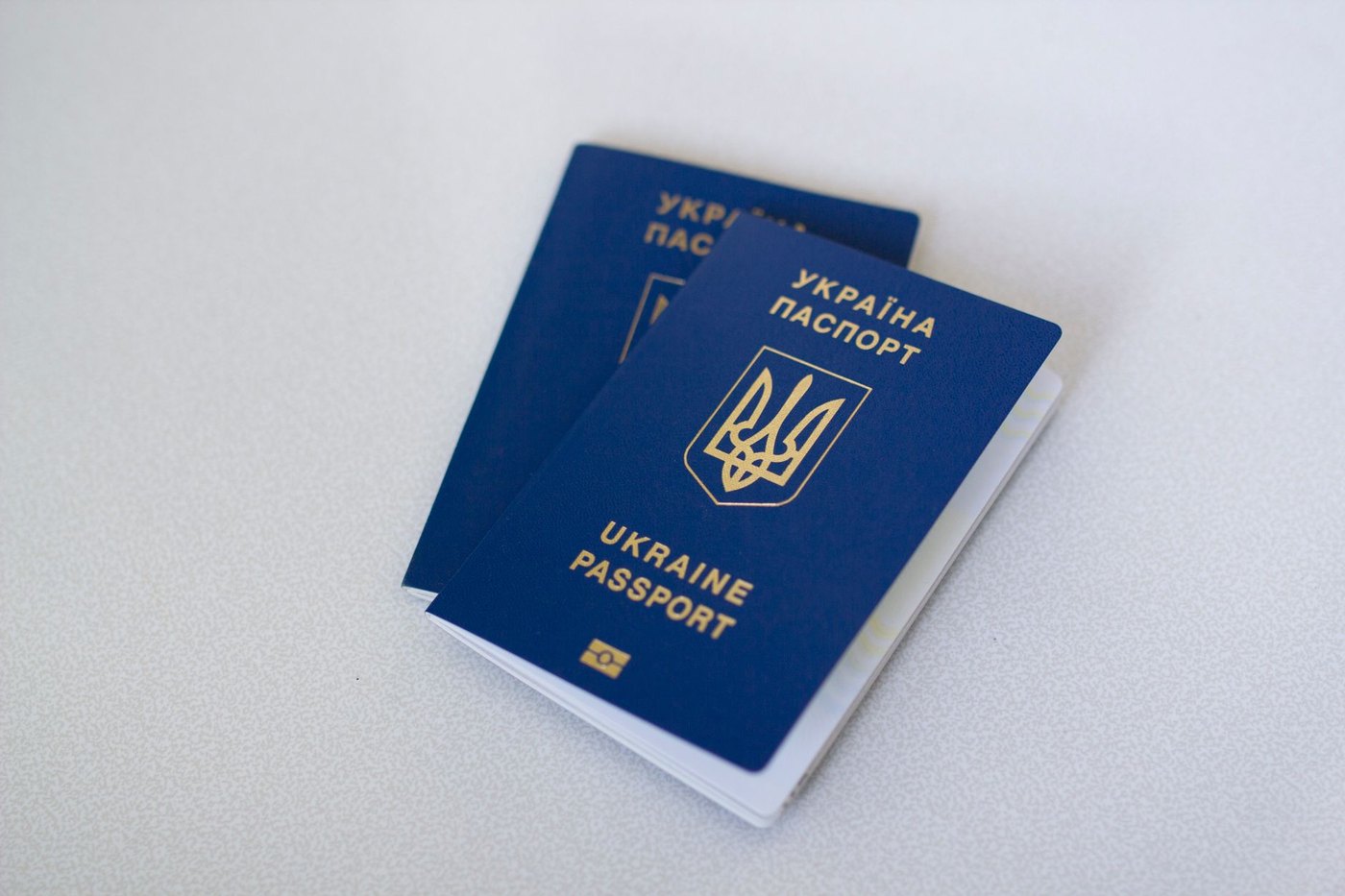 Detail image for Passport Holders and Travel Wallets: What Actually Helps